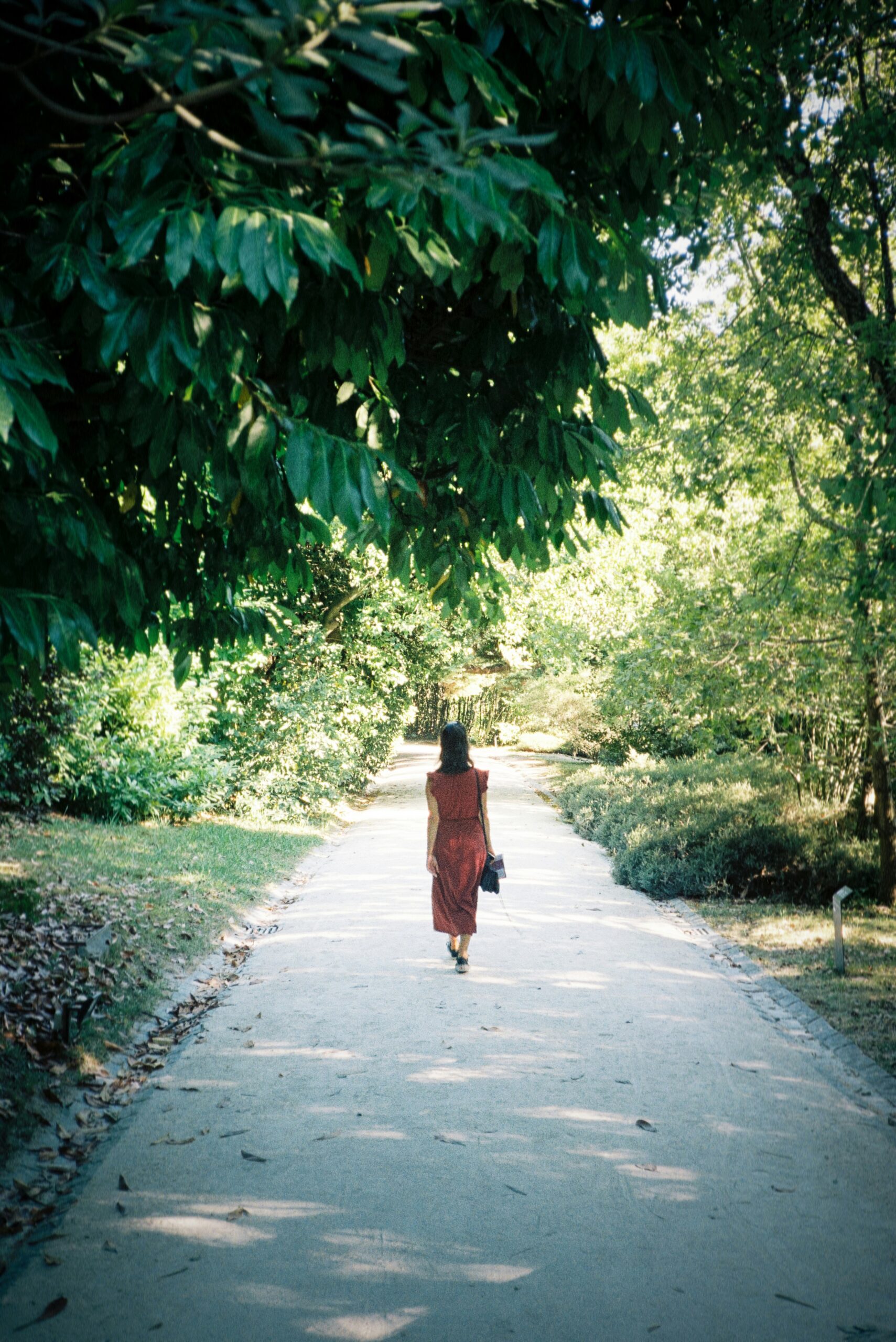 Grace in Motion